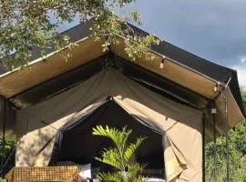 SaitotiMara Safaris