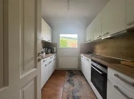 Ferienwohnung Wenzler