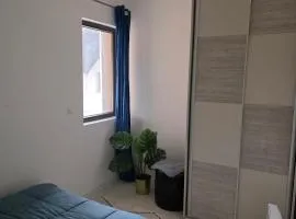 Apartman Stasa