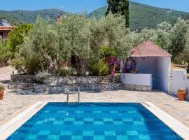 Aretousa - Deluxe Pool Apartment