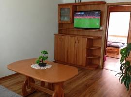 Komfortowy Apartament na wyłączność 2 Sypialnie Blisko Centrum, hotel i Gorlice