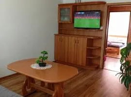 Komfortowy Apartament na wyłączność 2 Sypialnie Blisko Centrum