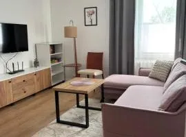 Apartament Mirka centrum