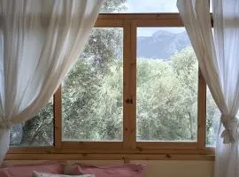 Terra Orieni