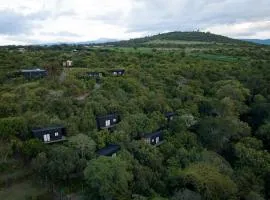 Aloe Valley