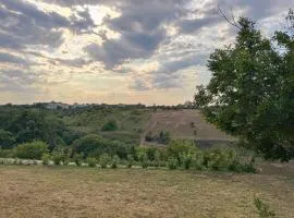 Allombra della quercia