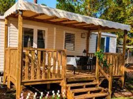 Ferret Family Lodge camping Les Embruns