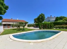House Pavicini 333