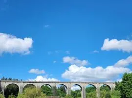 Un Moment Suspendu sur la Vienne