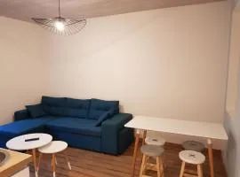 Gîte climatisé "Baugallo Accordailles"
