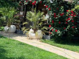 Cabana Sorina, hotel din Corbu