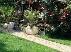 Cabana Sorina