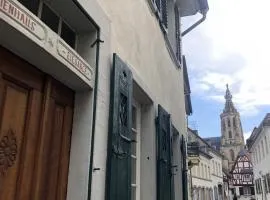 Altstadtmeise Elegance