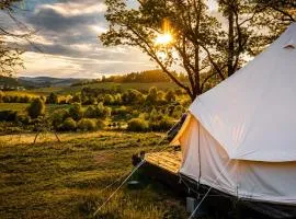 Glamping Hive
