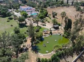 Portuguese villa with beautiful views