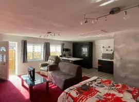 Forest Lodge studio apt