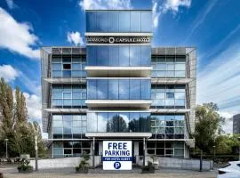 Diamond Capsule Hotel Amsterdam South