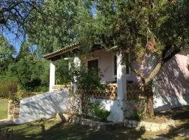 Zanteva