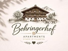 Bohringerhof- Großes Apartment am Bauernhof im Zillertal, Hotel in Ahrnbach