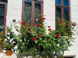 Zentrales und sehr ruhiges Apartment im beliebtesten Bremer Viertel
