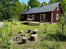 Traditional Swedish House In The Forest