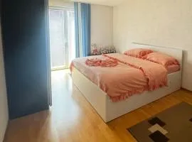 Apartman Leki