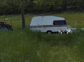 Caravan Joost Camping La Foret du Morvan
