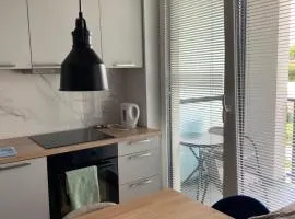 Apartament Czartoryskich House - PARKING podziemny gratis, klimatyzacja
