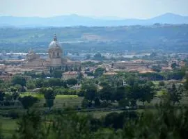 All'Ombra di San Damiano