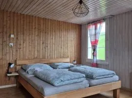 Gemütliche Wohnung im Grünen
