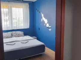 Kopernik za Rogiem