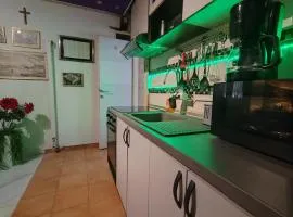 S-type apartment in the center
