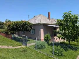 Holiday Home with BBQ in Fonyod-Balaton 55446