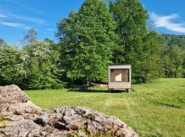 CARPINO - Un Nido nel Bosco