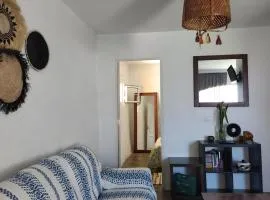 Oaxaca Tortuga