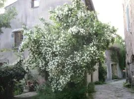 Chez Marjolaine