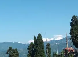 Mist N Mountain