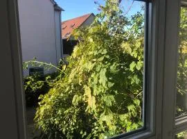 Rosenwohnung