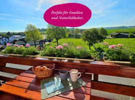 Ferienwohnung Matheaperle mit Infrarotkabine, Hotel in Nidda