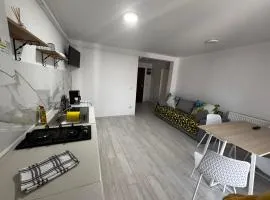 Deluxe apartament Vatra Dornei