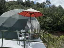 Glamping Cacica del bosque
