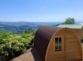 Houx POD