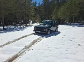 Zabljak Sljivansko