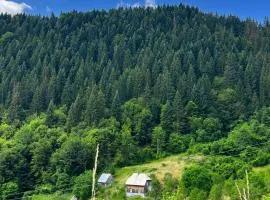 Zabljak Sljivansko