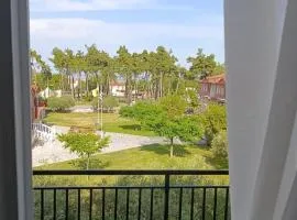 Canvista