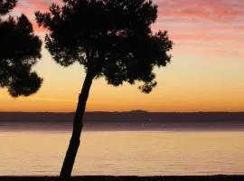 Cosy Istres
