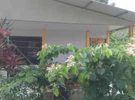 Casa Fiore