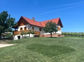 Iža na brejgi