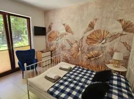 Apartamenty Wisełka