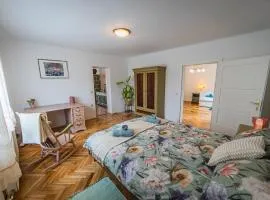 Apartma Reunica